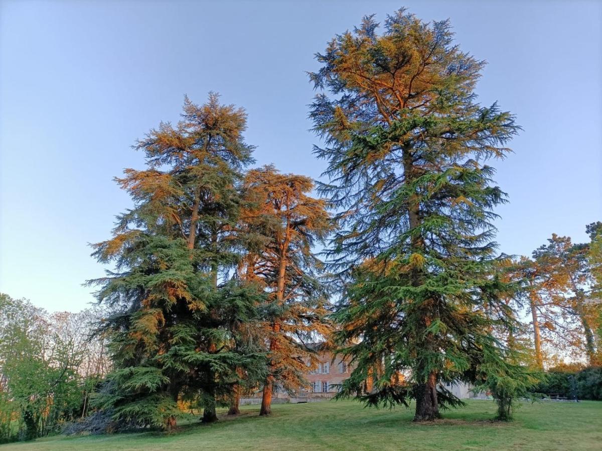 ホテル Le Jardin Des Cedres ラヴォール エクステリア 写真