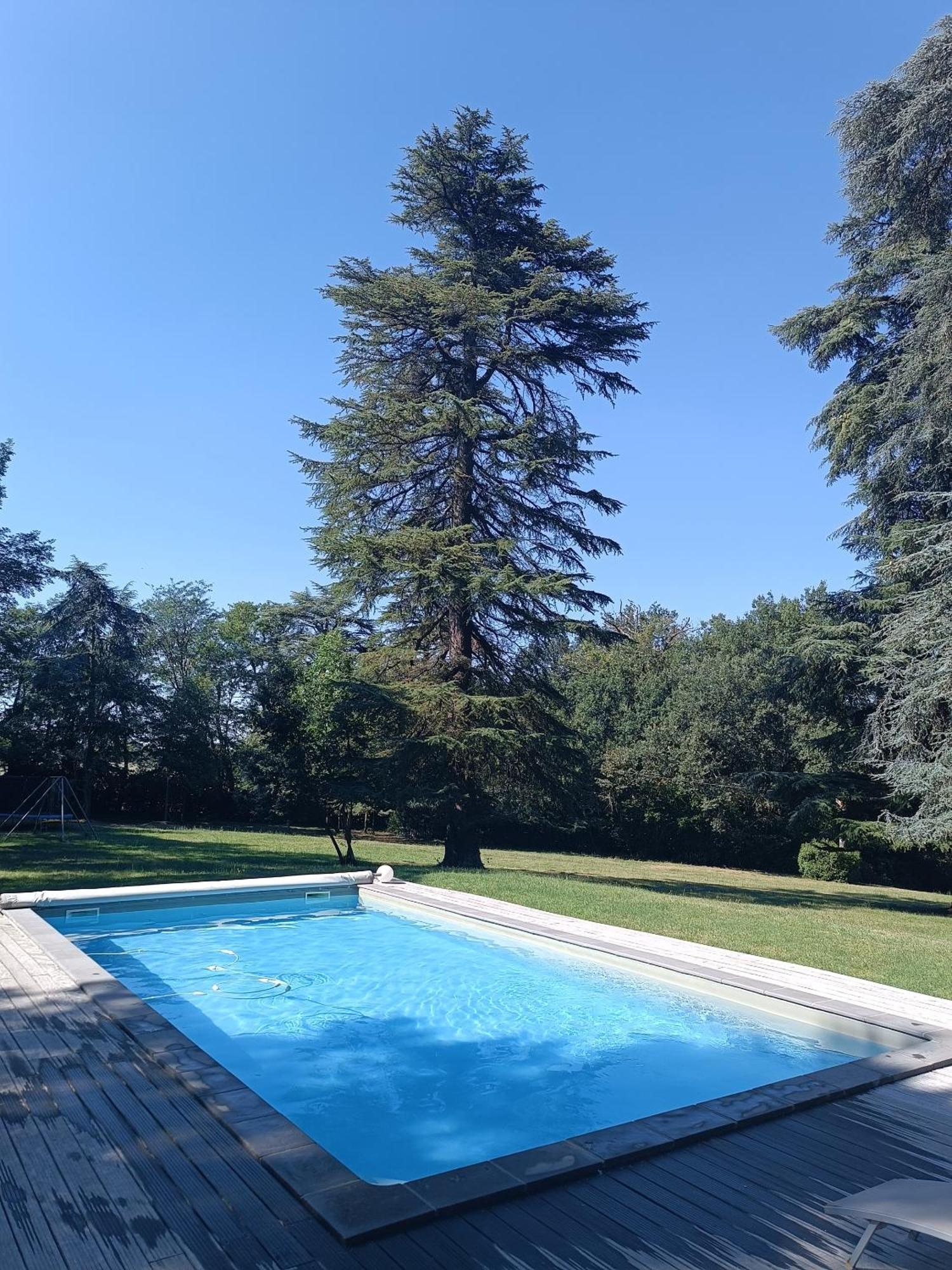 ホテル Le Jardin Des Cedres ラヴォール エクステリア 写真