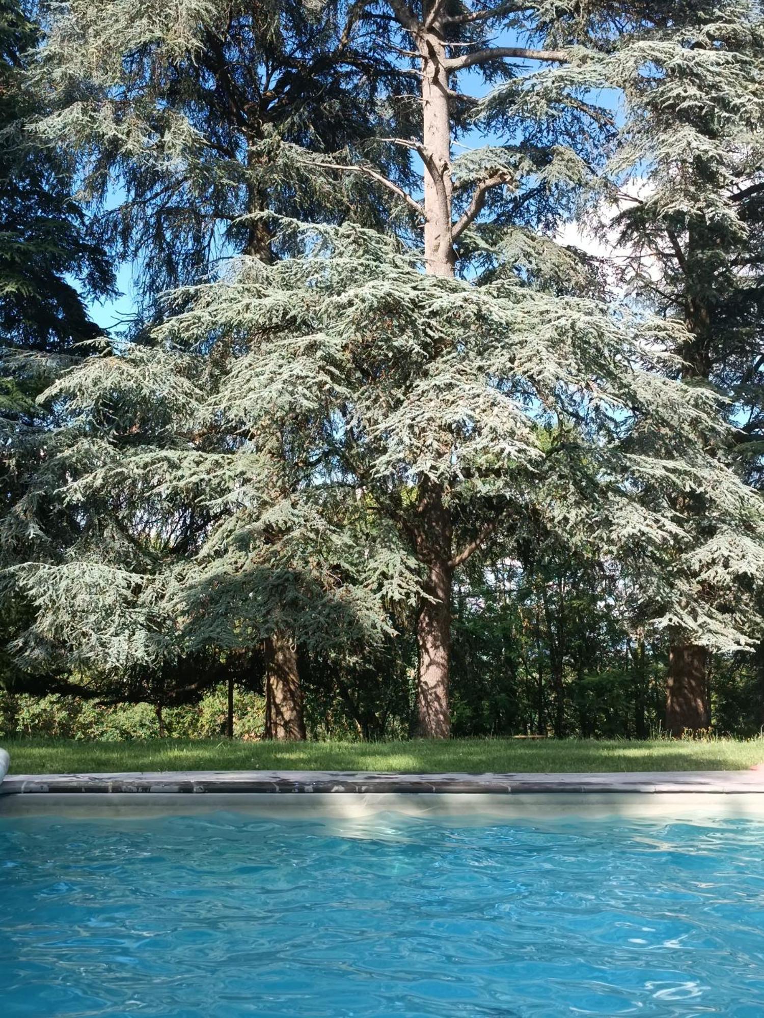 ホテル Le Jardin Des Cedres ラヴォール エクステリア 写真